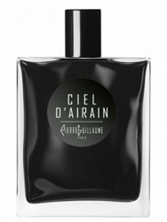 Pierre Guillaume Ciel d'Airain
