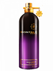 Montale Aoud Sense